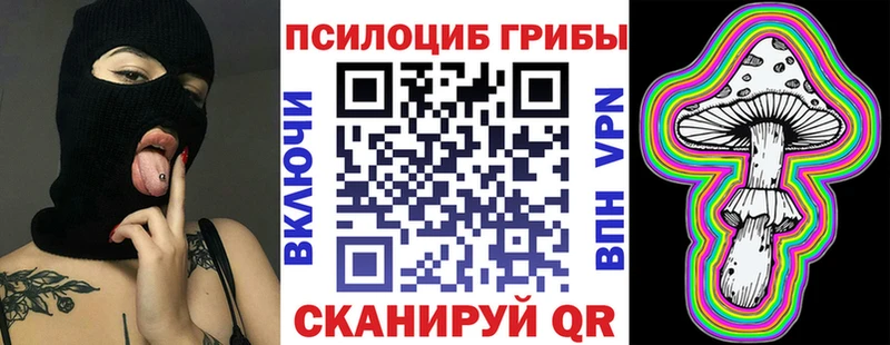 Псилоцибиновые грибы мухоморы  купить наркоту  Тверь 